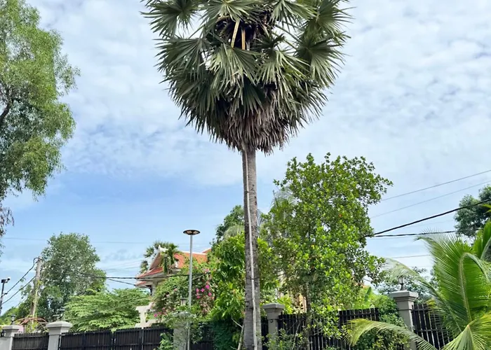 Mealy Hotel Siem Reap