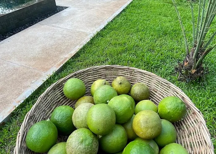 Mealy Hotel Siem Reap